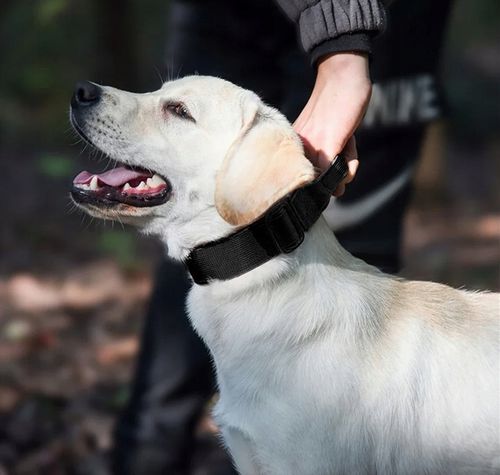 MEGA MOCNA SOLIDNA OBROŻA TAKTYCZNA DO DUŻEGO PSA METALOWA KLAMRA 45-65 XL na Arena.pl