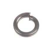 Podkładka śruby sprzęgła Cedrus świder SW02 131840