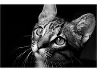 100 70CM OBRAZ PŁÓTNO SPOJRZENIE VISUALPANIC PŁÓTNO RAMA