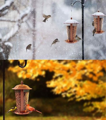 Wiszący Karmnik Dla Ptaków (Brak Śruby I Linki) na Arena.pl