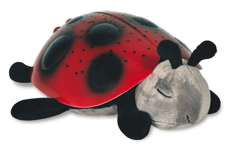 ND19_CLTL-7353-ZZ Cloud b®Twilight Ladybug&# zdjęcie 2