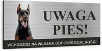 Tabliczka UWAGA Zły Pies DOBERMAN aluminium dibond