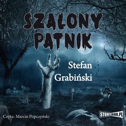 (mp3) Szalony pątnik zdjęcie 1