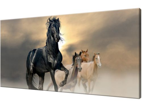 Obraz drukowany płótno 115x55cm Modne DUŻO WZORÓW na Arena.pl