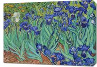 Obraz 70x50cm Irises, Van Gogh Vintage do Salonu