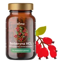 Berberyna berberys HCL 500 mg MOCNA na ODCHUDZANIE METABOLIZM 60 kaps