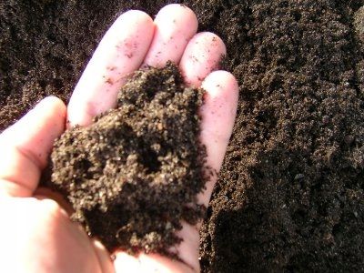 SITO OGRODNICZE, SITO DO PRZESIEWANIA KOMPOSTU !!! na Arena.pl