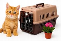 Transporter dla Kota Psa Królika Klatka Kojec Duży Solidny Box Domek Brąz