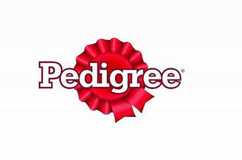 PEDIGREE MOKRA KARMA DLA PSA MIX SMAKÓW W GALARETCE SASZETKI 40 X 100 g na Arena.pl