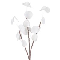 Sztuczny kwiat dekoracyjny eukaliptus FLORE biały x6