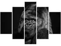 105CM 150CM OBRAZ 5 ELEM GORILLA FACE FEANS DRUK