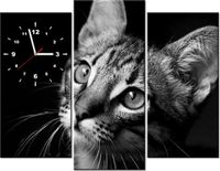 product-compare-58639686