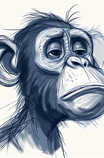 Plakat 53x81cm Zaduma zdjęcie 1