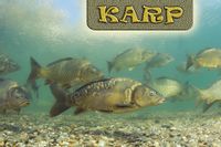 product-compare-52615347