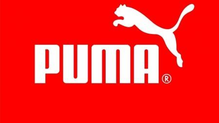 PUMA SKARPETY STOPKI 3 PARY BIAŁE 43-46 na Arena.pl