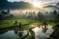 Plakat 60x40cm Świt nad Tarasami