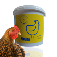 WITAMIX NIOSKA – Kompleks Witamin  dla  Produktywnych Kur Niosek 3 kg
