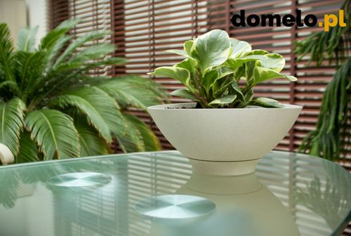 DONICZKA PLANET 290 A2 na Arena.pl