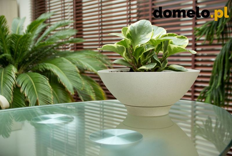 DONICZKA PLANET 290 A2 zdjęcie 6