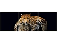 OBRAZ DZIKI KOT LAMPART