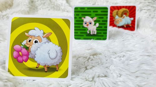 Gra Owce na manowce na Arena.pl