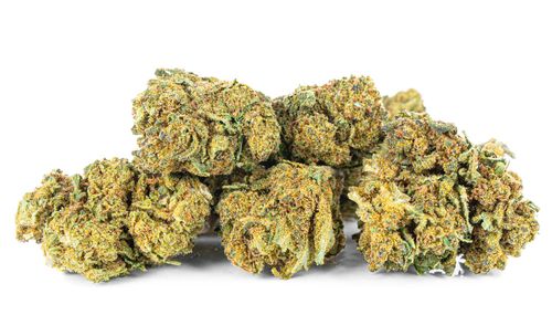 CBD SUSZ KONOPNY | SILVER HAZE PREMIUM 20g na Arena.pl
