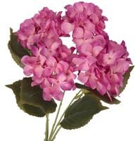 SZTUCZNE KWIATY ROŚLINY GAŁĄZKI HORTENSJA JAK ŻYWA