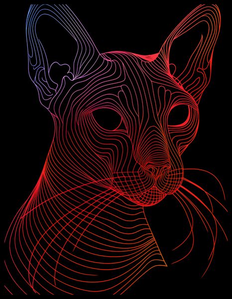 Plakat 50x65cm Cyfrowa Kocica zdjęcie 2