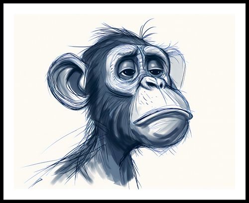 Plakat 76x60,5cm Zaduma na Arena.pl