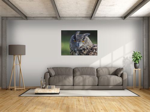 Obraz Sowa - Feans 100x70 PŁÓTNO na Arena.pl