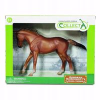 Koń Deluxe Klacz thoroughbred kasztanowa