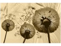 100 70CM OBRAZ PŁÓTNO DMUCHAWCE KREMOWYM TLE PŁÓTNO RAMA