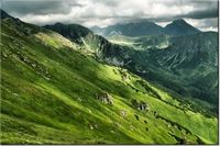 product-compare-58693541