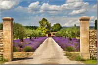 120CM 80CM OBRAZ ŚCIENNY DROGA PROWANSJI