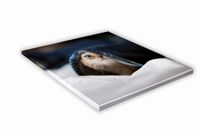 SZKLANA DESKA KUCHENNA 25x25 481e Kotek w śniegu