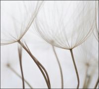 Tło do fotografii produktowej kulinarnej Flat Lay