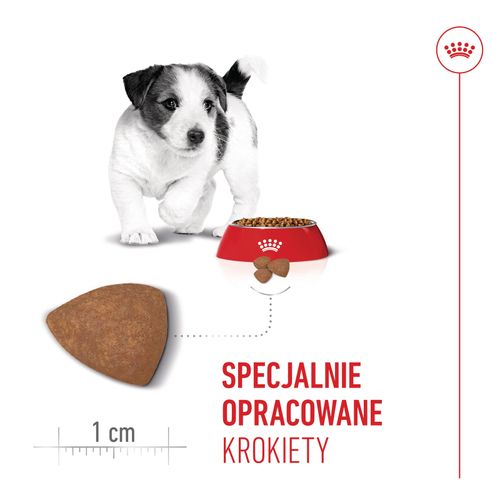 royal canin mini puppy 2kg na Arena.pl