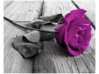 40X50CM WYRAZISTA RÓŻA OBRAZ