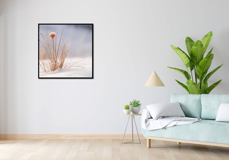 Plakat 80x80cm Zima w Detalach zdjęcie 4