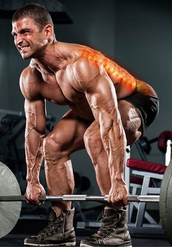 PAS LĘDŹWIOWY KULTURYSTYCZNY Treningowy DO PODNOSZENIA CIĘŻARÓW NA SIŁOWNIĘ na Arena.pl