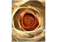 40X50CM RÓŻA KTALNA OBRAZ