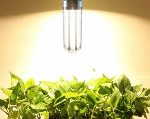 ŻARÓWKA DO ROŚLIN LED GROW CORN FULL SPECTRUM 50W zdjęcie 7