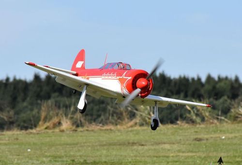 Yak-11 1450mm PNP na Arena.pl