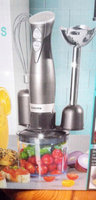 BLENDER RĘCZNY SIECIOWY SREBRNY 5 ELEMENTÓW 3W1 350 W SALTER COSMOS 12,5X22