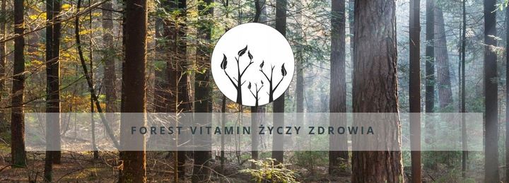 FOREST VITAMIN Strong B Complex 250tabs WITAMINY B zdjęcie 3