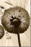 product-compare-58703878