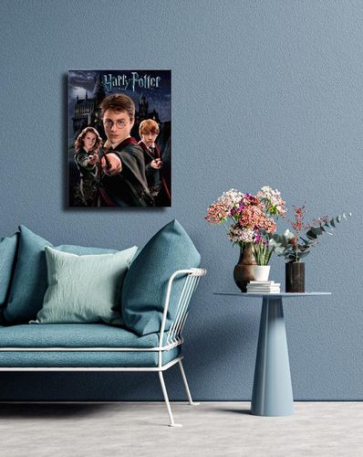 Harry Potter Harry Ron Hermione - Obraz na płótnie 30x40 cm na Arena.pl