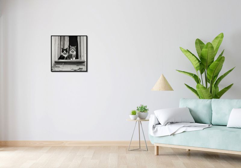 Plakat 50x50cm Para w Oknie zdjęcie 4