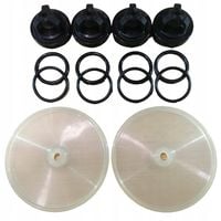 Zestaw naprawczy pompy P-120 Biardzki