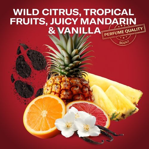 ŻEL POD PRYSZNIC 3IN1 OLD SPICE WOLFTHORN 1000 ML na Arena.pl